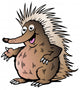 Hand-Drawn Vector Illustration of an Echidna Wall Decal