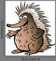 Hand-Drawn Vector Illustration of an Echidna Wall Decal