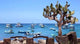 Galapagos Tourism Wall Decal