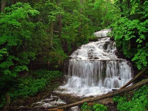 Wagner Falls Wall Decal