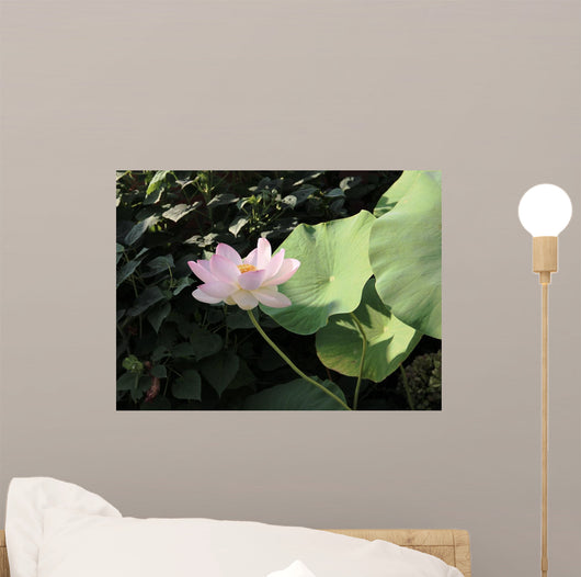 Fioritura Wall Mural