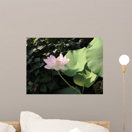 Fioritura Wall Mural