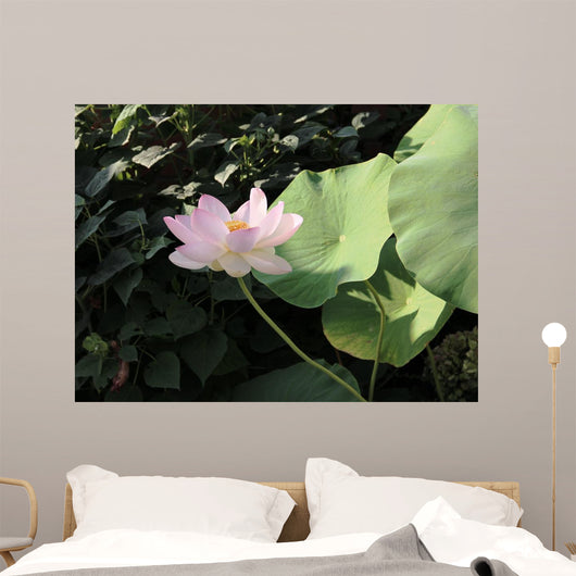 Fioritura Wall Mural