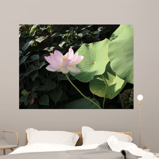Fioritura Wall Mural