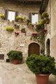 Particular Typical Tuscan Square