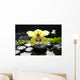 Macro Yellow Orchid with Wall Mural