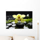 Macro Yellow Orchid with Wall Mural
