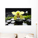 Macro Yellow Orchid with Wall Mural