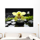Macro Yellow Orchid with Wall Mural