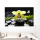 Macro Yellow Orchid with Wall Mural