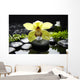 Macro Yellow Orchid with Wall Mural