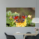 Butterfly Flower Wall Mural