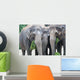 Eat Ce S Wall Mural