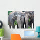 Eat Ce S Wall Mural