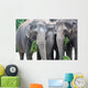 Eat Ce S Wall Mural