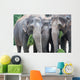 Eat Ce S Wall Mural