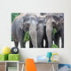 Eat Ce S Wall Mural