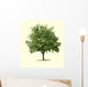 Maple Tree