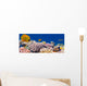 Underwater panorama with Masked Butterfly Fish Red Sea Egypt Wall Mural