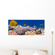 Underwater panorama with Masked Butterfly Fish Red Sea Egypt Wall Mural