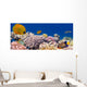 Underwater panorama with Masked Butterfly Fish Red Sea Egypt Wall Mural