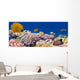Underwater panorama with Masked Butterfly Fish Red Sea Egypt Wall Mural