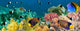 Underwater Panorama with Angel