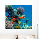 Tropical Life Wall Decal