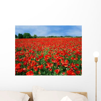 Field Full Red Poppies Wall Decal shown on a wall