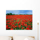 Field Full Red Poppies Wall Decal