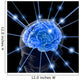 the brain Wall Mural