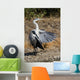 Heron Cendre Wall Mural