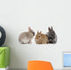 bunnies 02 Wall Decal