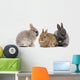 bunnies 02 Wall Decal