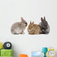 bunnies 02 Wall Decal