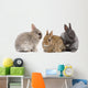 bunnies 02 Wall Decal