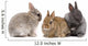 bunnies 02 Wall Decal