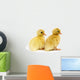 Ducks in a Row Wall Decal