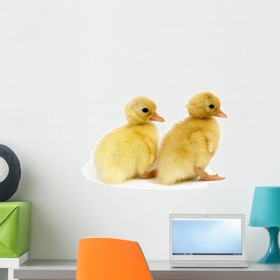 Ducks Row Wall Decal shown on a wall