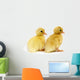 Ducks in a Row Wall Decal