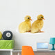 Ducks in a Row Wall Decal