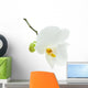 White Orchid Flower Wall Decal