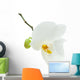 White Orchid Flower Wall Decal