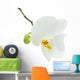 White Orchid Flower Wall Decal