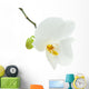 White Orchid Flower Wall Decal