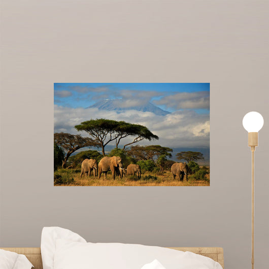 Elephant Family in Front of Mt Kilimanjaro Wall Mural