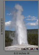 Old Faithful Geyser Yellowstone
