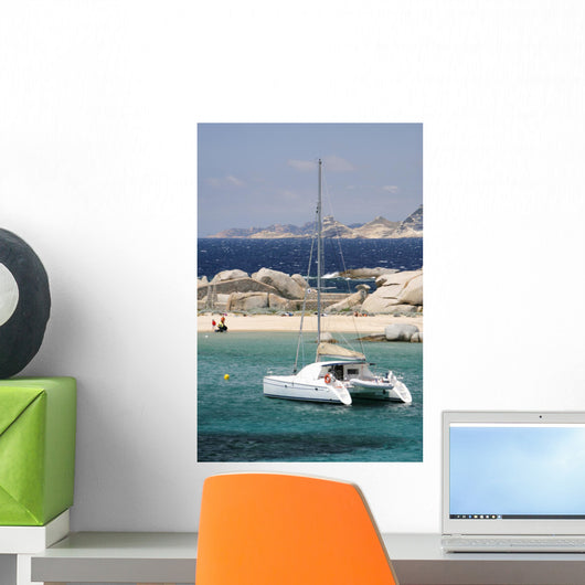 catamaran Wall Mural