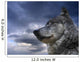 Canadian Wolf Wall Mural
