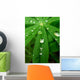 Goutte Feuille Wall Decal